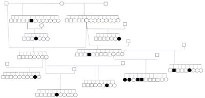 Corrigendum: Phenotypic characterization of idiopathic epilepsy and epilepsy of unknown cause in Irish Setters